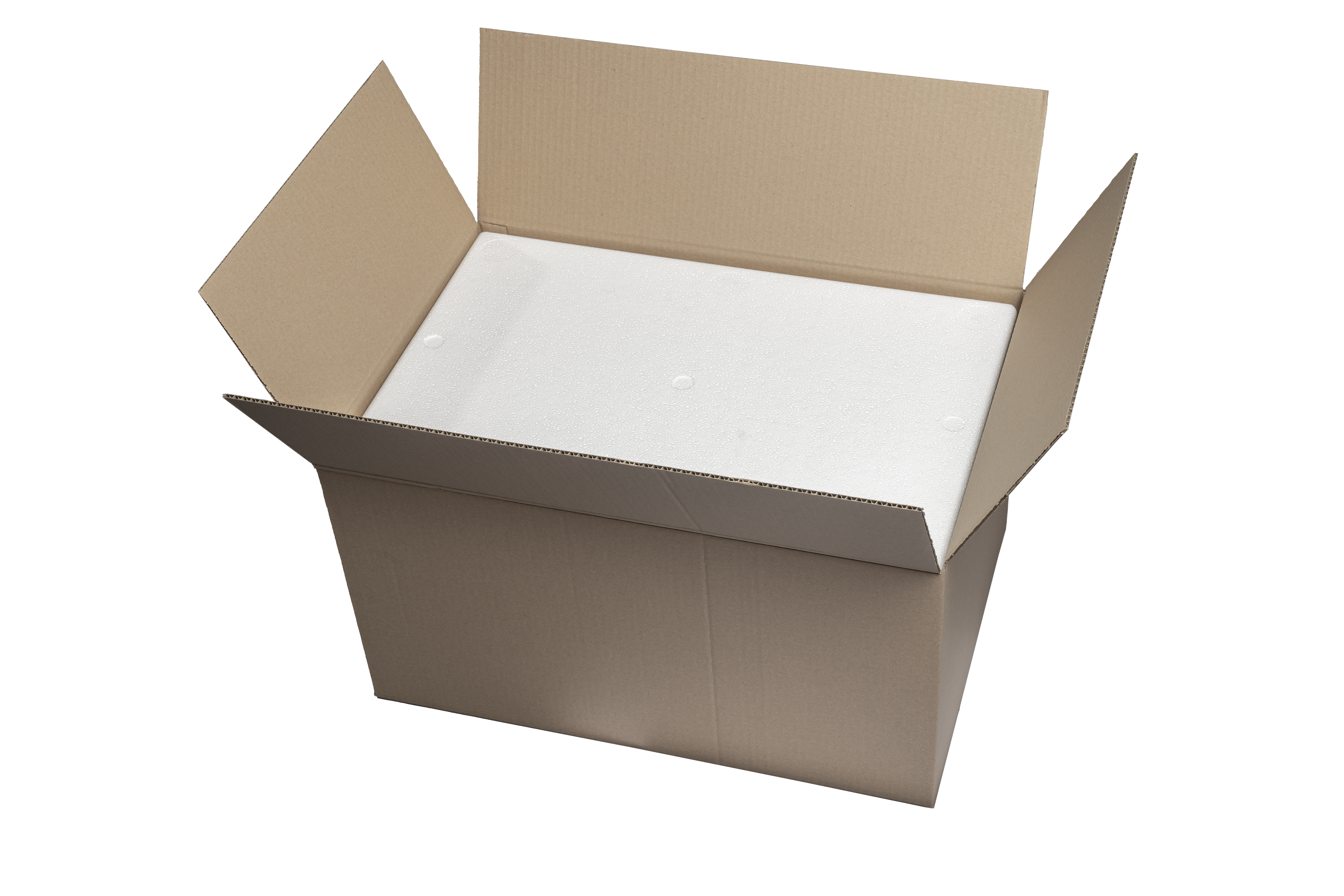 Kühl- und Transportbehälter 25 kg 